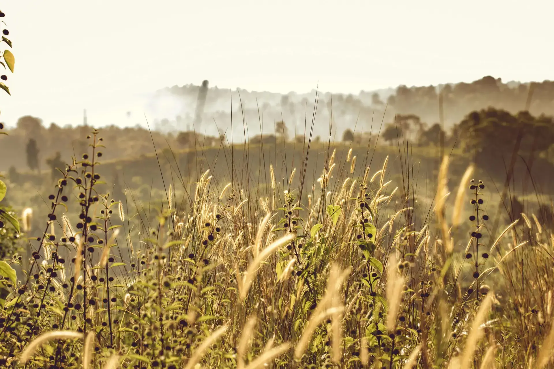 Turkey’s Sourcing and Investment Opportunities | Turkish Sourcing