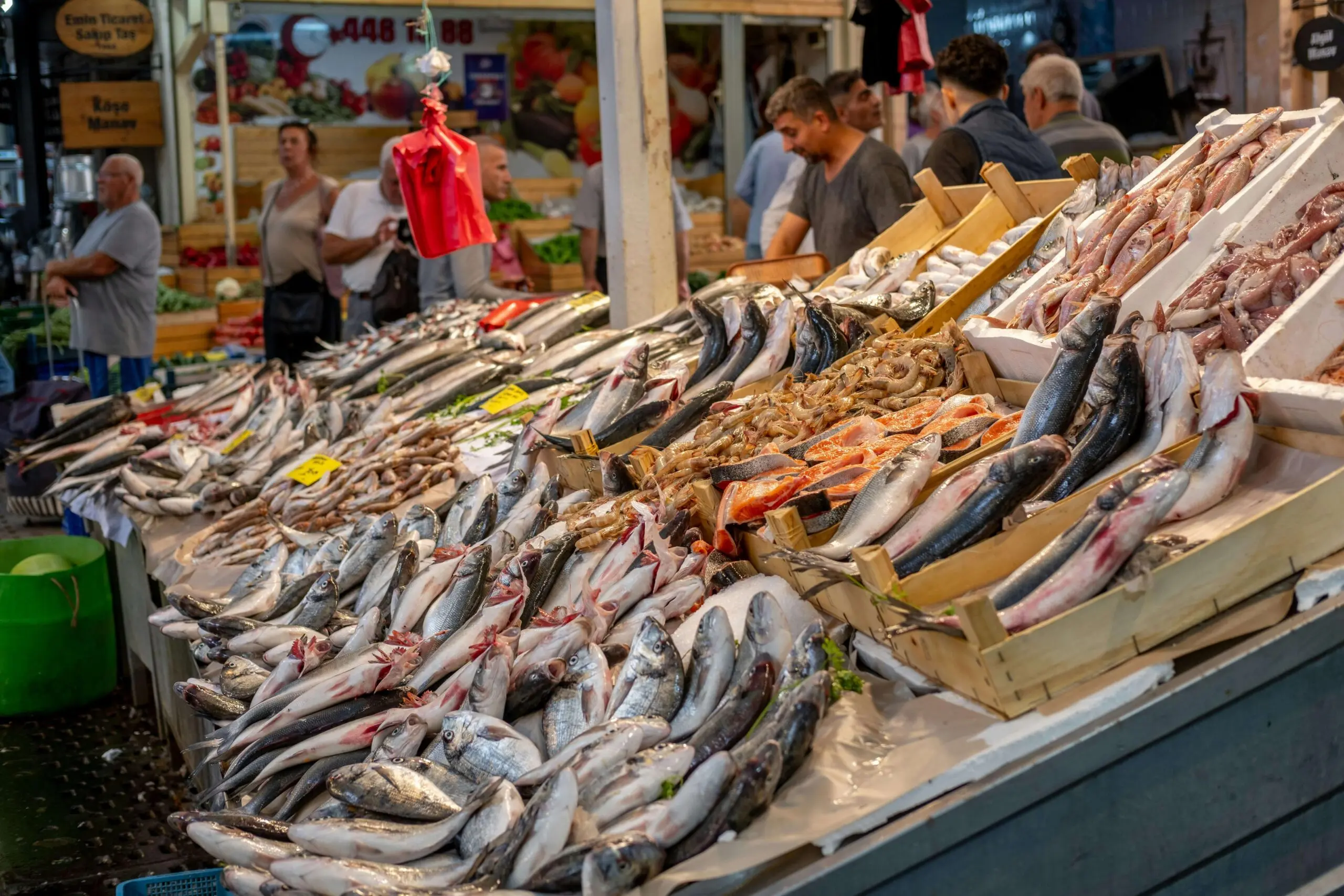 Turkey’s Sourcing and Investment Opportunities | Turkish Sourcing
