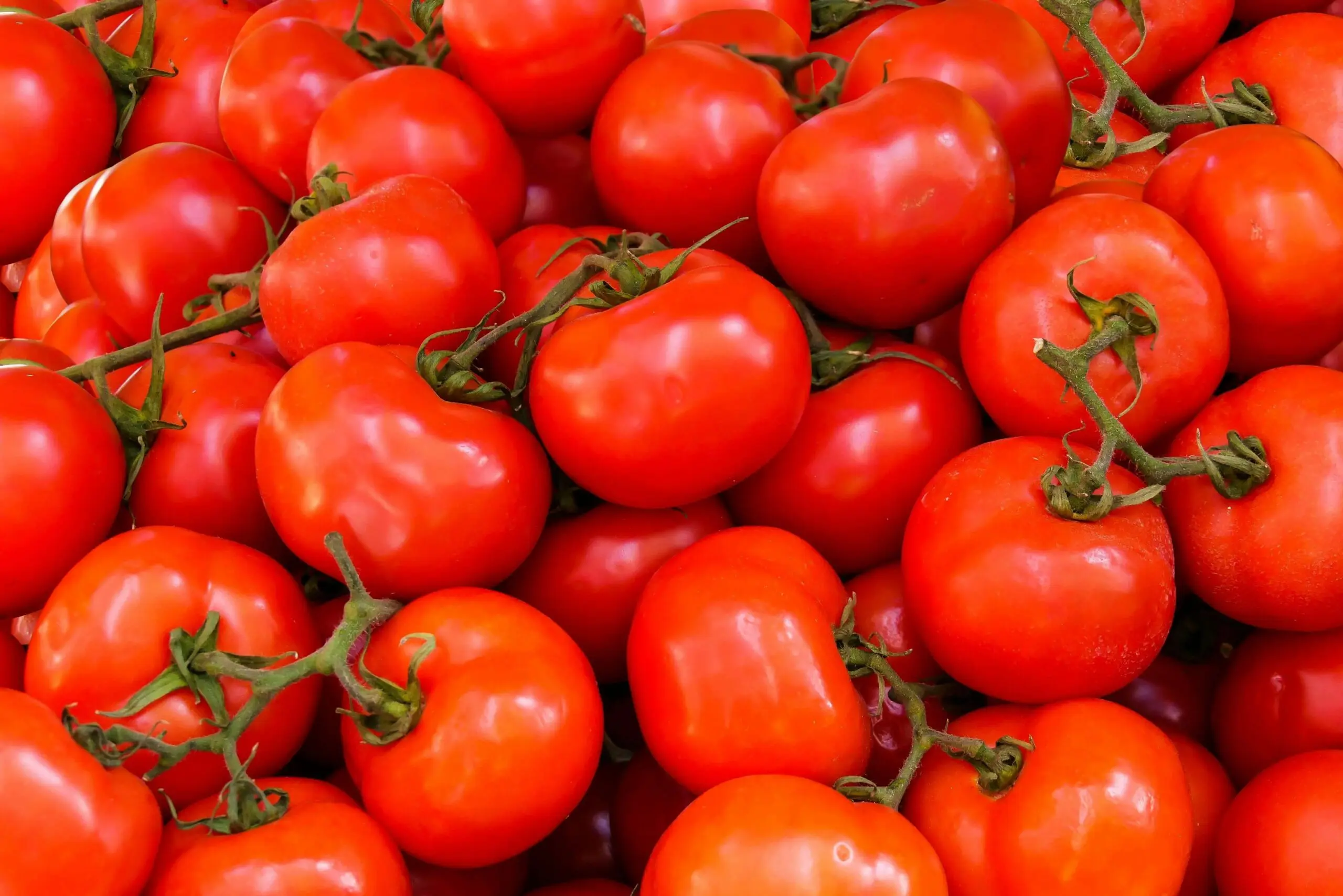 Turkey’s Sourcing and Investment Opportunities | Turkish Sourcing